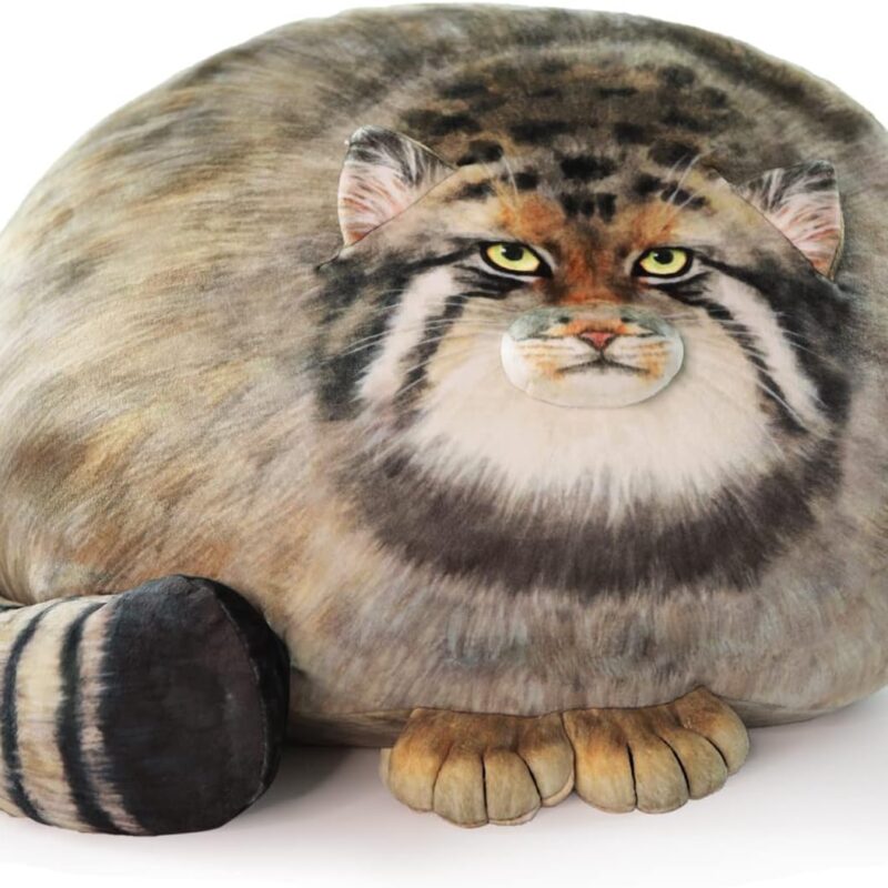 Cat Plush Body Pillow 45cm/18inch, Pallas Cat Stuffed Animal, Steppe Cat Cute Plushies for Girls, Soft Plush Pillow, Kitten Plush Throw Pillow Doll Big Plush Toy Decoration Doll Gift for Kids Boys